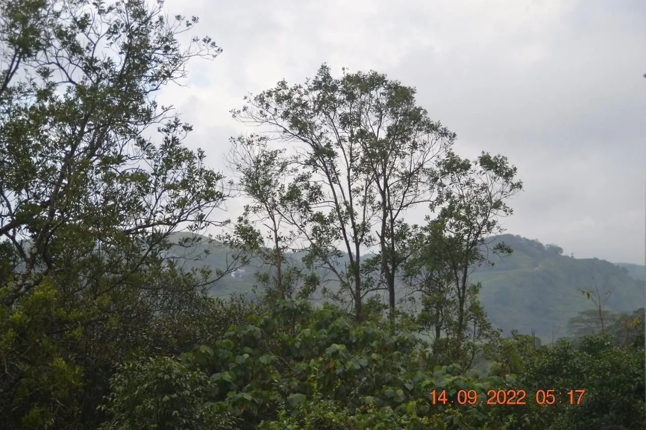 Sharon Valley Vagamon